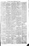 Croydon Advertiser and East Surrey Reporter Saturday 24 July 1875 Page 7