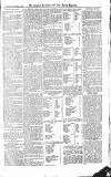 Croydon Advertiser and East Surrey Reporter Saturday 07 August 1875 Page 3