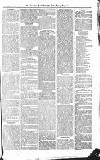 Croydon Advertiser and East Surrey Reporter Saturday 07 August 1875 Page 7