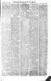 Croydon Advertiser and East Surrey Reporter Saturday 04 September 1875 Page 3