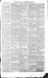 Croydon Advertiser and East Surrey Reporter Saturday 18 September 1875 Page 3