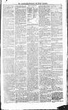 Croydon Advertiser and East Surrey Reporter Saturday 09 October 1875 Page 3