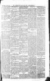 Croydon Advertiser and East Surrey Reporter Saturday 23 October 1875 Page 7