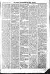 Croydon Advertiser and East Surrey Reporter Saturday 18 December 1875 Page 5