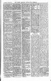 Croydon Advertiser and East Surrey Reporter Saturday 12 February 1876 Page 3