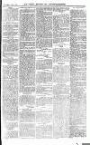 Croydon Advertiser and East Surrey Reporter Saturday 27 May 1876 Page 7
