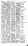 Croydon Advertiser and East Surrey Reporter Saturday 03 June 1876 Page 5