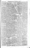 Croydon Advertiser and East Surrey Reporter Saturday 01 July 1876 Page 5