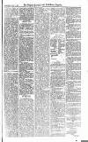 Croydon Advertiser and East Surrey Reporter Saturday 15 July 1876 Page 5