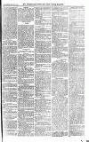 Croydon Advertiser and East Surrey Reporter Saturday 09 September 1876 Page 7