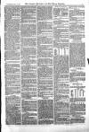 Croydon Advertiser and East Surrey Reporter Saturday 13 January 1877 Page 3