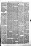 Croydon Advertiser and East Surrey Reporter Saturday 13 January 1877 Page 7