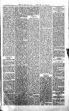 Croydon Advertiser and East Surrey Reporter Saturday 20 January 1877 Page 5