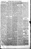 Croydon Advertiser and East Surrey Reporter Saturday 10 February 1877 Page 5