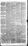 Croydon Advertiser and East Surrey Reporter Saturday 10 February 1877 Page 7