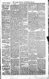 Croydon Advertiser and East Surrey Reporter Saturday 17 March 1877 Page 7