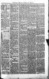 Croydon Advertiser and East Surrey Reporter Saturday 14 April 1877 Page 3