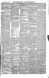 Croydon Advertiser and East Surrey Reporter Saturday 19 May 1877 Page 3