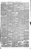 Croydon Advertiser and East Surrey Reporter Saturday 19 May 1877 Page 7