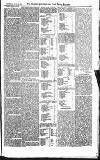 Croydon Advertiser and East Surrey Reporter Saturday 23 June 1877 Page 3