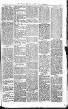 Croydon Advertiser and East Surrey Reporter Saturday 07 July 1877 Page 3