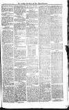 Croydon Advertiser and East Surrey Reporter Saturday 07 July 1877 Page 7