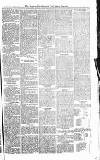 Croydon Advertiser and East Surrey Reporter Saturday 14 July 1877 Page 7