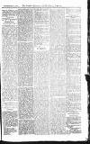 Croydon Advertiser and East Surrey Reporter Saturday 28 July 1877 Page 7