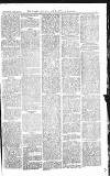 Croydon Advertiser and East Surrey Reporter Saturday 28 July 1877 Page 11