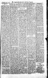 Croydon Advertiser and East Surrey Reporter Saturday 18 August 1877 Page 5