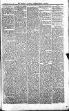 Croydon Advertiser and East Surrey Reporter Saturday 25 August 1877 Page 3