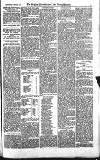Croydon Advertiser and East Surrey Reporter Saturday 08 September 1877 Page 3