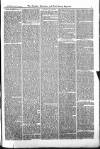 Croydon Advertiser and East Surrey Reporter Saturday 20 October 1877 Page 3