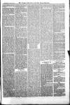 Croydon Advertiser and East Surrey Reporter Saturday 20 October 1877 Page 5