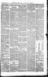 Croydon Advertiser and East Surrey Reporter Saturday 03 November 1877 Page 7