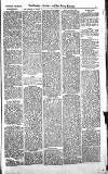 Croydon Advertiser and East Surrey Reporter Saturday 29 December 1877 Page 3