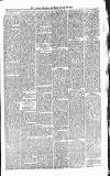 Croydon Advertiser and East Surrey Reporter Saturday 25 January 1879 Page 3