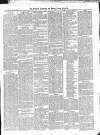 Croydon Advertiser and East Surrey Reporter Saturday 15 February 1879 Page 7