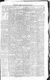 Croydon Advertiser and East Surrey Reporter Saturday 22 February 1879 Page 3