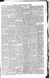 Croydon Advertiser and East Surrey Reporter Saturday 22 February 1879 Page 5