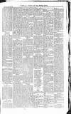 Croydon Advertiser and East Surrey Reporter Saturday 22 February 1879 Page 7