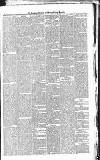 Croydon Advertiser and East Surrey Reporter Saturday 14 June 1879 Page 5