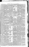 Croydon Advertiser and East Surrey Reporter Saturday 14 June 1879 Page 7