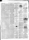 Croydon Advertiser and East Surrey Reporter Saturday 21 June 1879 Page 3