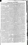 Croydon Advertiser and East Surrey Reporter Saturday 05 July 1879 Page 5