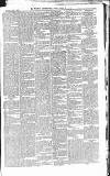 Croydon Advertiser and East Surrey Reporter Saturday 05 July 1879 Page 7