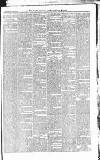 Croydon Advertiser and East Surrey Reporter Saturday 26 July 1879 Page 3