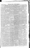 Croydon Advertiser and East Surrey Reporter Saturday 26 July 1879 Page 5