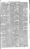 Croydon Advertiser and East Surrey Reporter Saturday 08 November 1879 Page 7