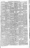 Croydon Advertiser and East Surrey Reporter Saturday 22 November 1879 Page 3
